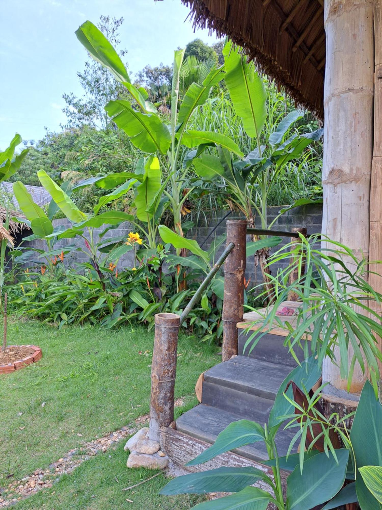 Homestay Field - Bungalow, Ha Giang Loop Tour, Motorbikes Rental 외부 사진